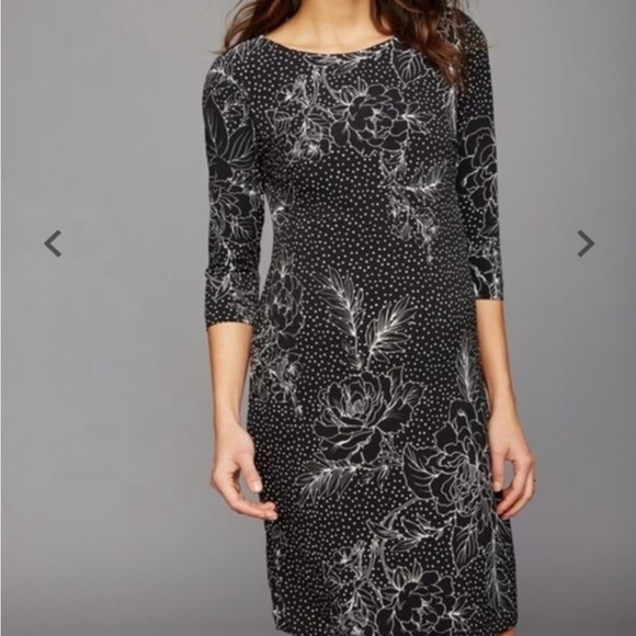 Taylor for Pea in the Pod Maternity Shift Dress - Picture 1 of 6